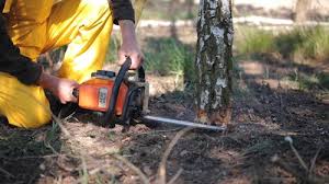  , AR Tree Services Pros